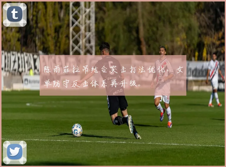 陈雨菲拉吊结合突击打法优化，女单防守反击体系再升级。